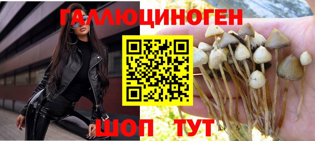 Галлюциногенные грибы GOLDEN TEACHER Нягань